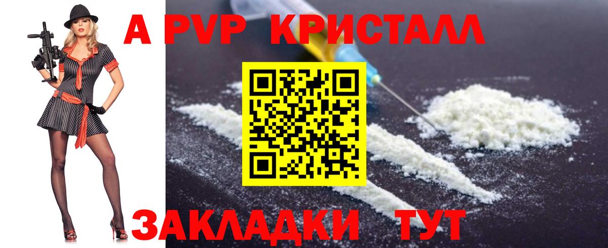Пугачёв  A PVP VHQ  Вход с VPN  Alpha PVP СК КРИС  Alpha PVP СК 