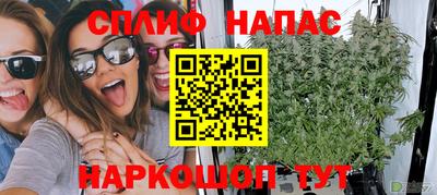 гашик Бузулук