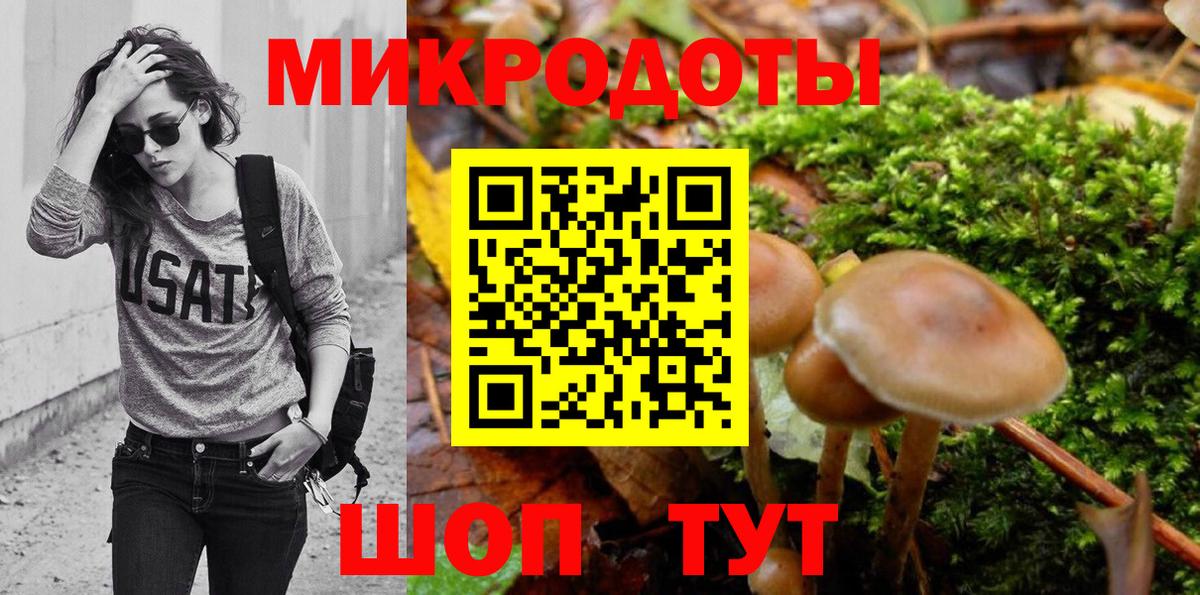 Галлюциногенные грибы Psilocybine cubensis Пугачёв